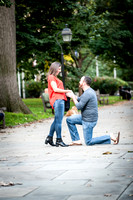 Robin+Andy {Marriage Proposal}